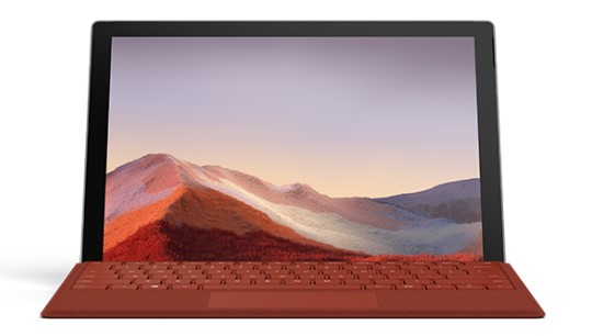 古城清洁和维护 Surface